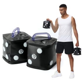 15lb Adjustable Weights Dumbbell Pairs Outdoor Portable Travel Gym Sports Fitness Home Exercise Yoga Strength Training Equipment (Option: 15lbs-Black)